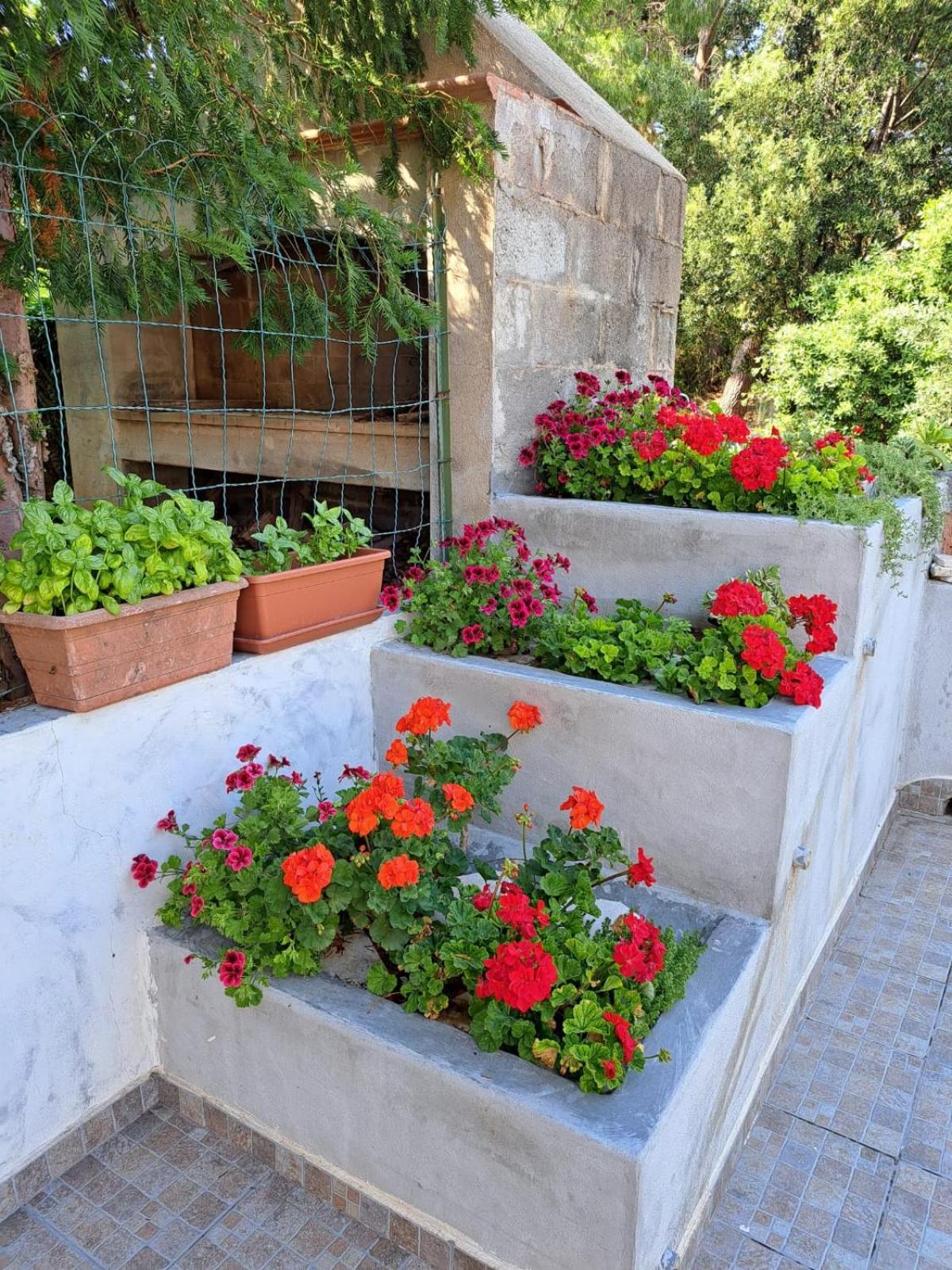 Domus De Mare Daire Cala Gonone Dış mekan fotoğraf