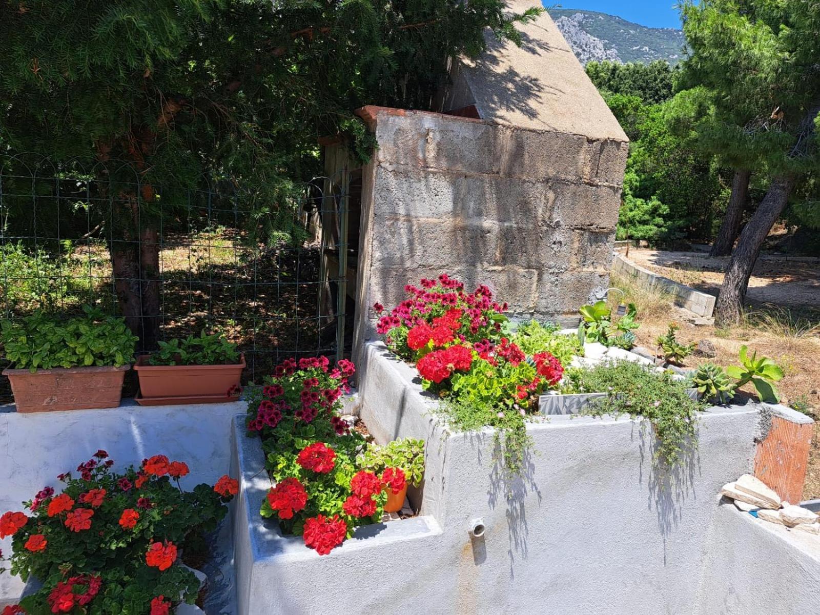 Domus De Mare Daire Cala Gonone Dış mekan fotoğraf